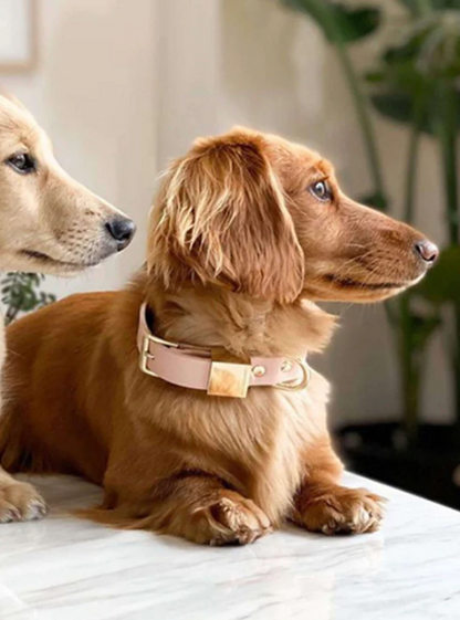 Ollie & James Premium Hundehalsbånd - Italiensk Skinn rosa