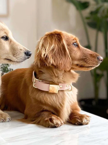 Ollie & James Premium Hundehalsbånd - Italiensk Skinn rosa
