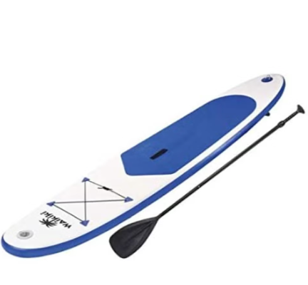 Waikiki Paddle board
