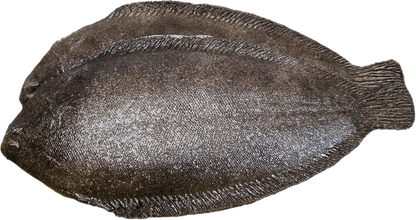 Kunstige Flyndre 20 cm - 2 stk Realistiske Fisk til Dekorasjon