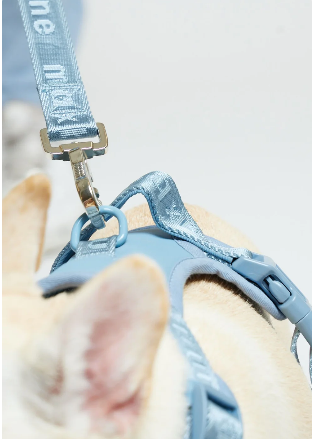 Maxbone Easy Fit Hundesele - Premium Neopren Sele - Støvblå - L